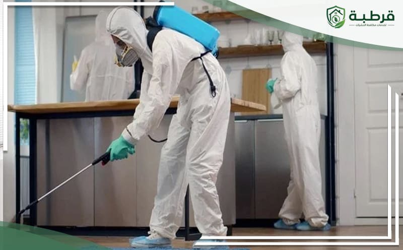 pest control in al yarmuk riyadh