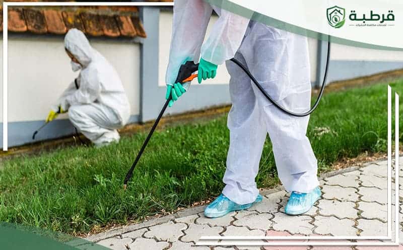 Pest Control Abu Al Salasil Riyadh