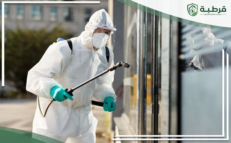 Pest Control Al Dirah Riyadh