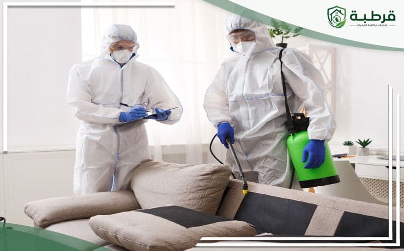 Pest Control Al Falah Riyadh