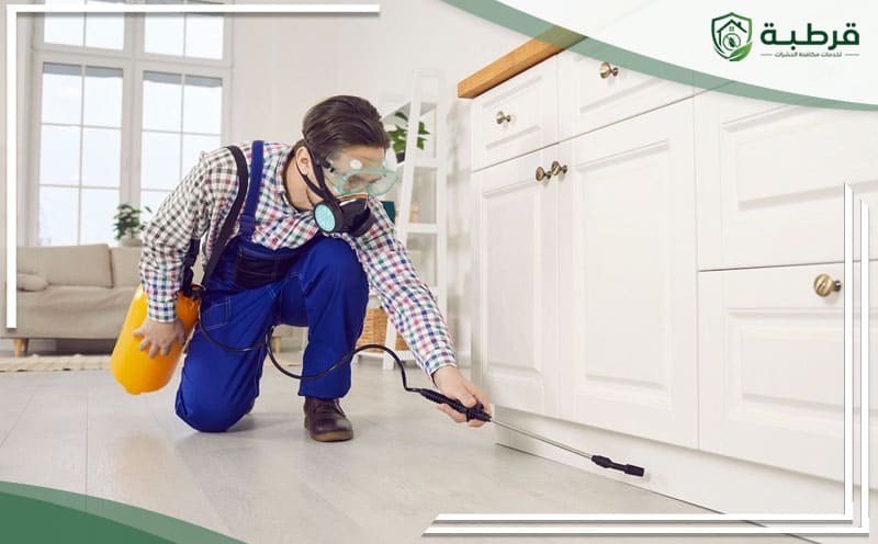 Pest Control Al Khair Riyadh