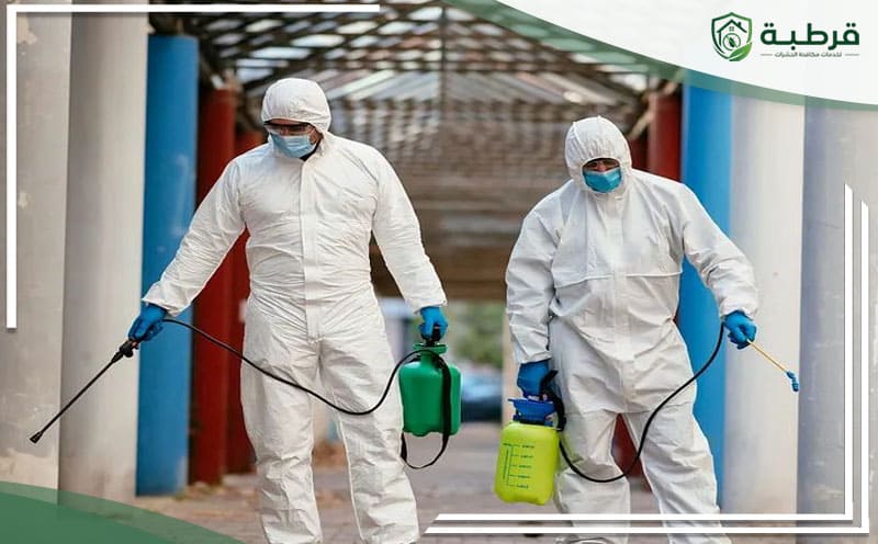 Pest Control Al-Murabba Riyadh