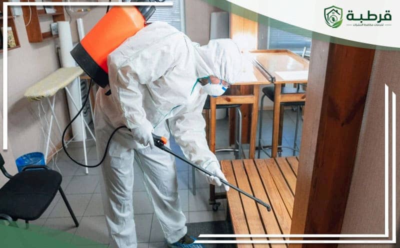 Pest Control Al-Murqab Riyadh