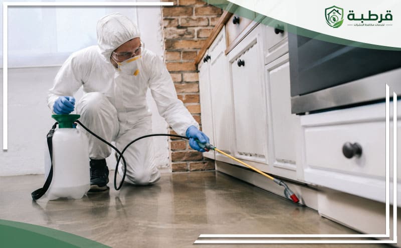 Pest Control Al Wadi Riyadh
