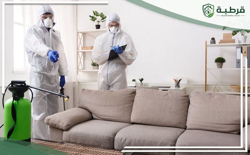 Pest Control Al-Wizarat Riyadh