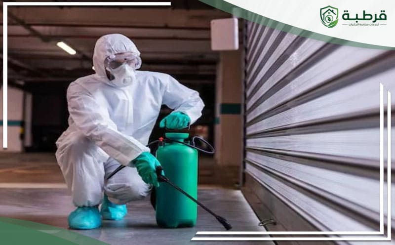 Pest Control Dirab Riyadh