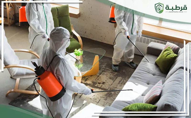 Pest Control Jarir Riyadh
