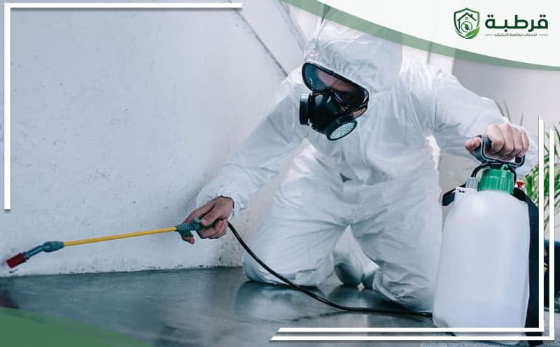 Pest Control Khashm Al Aan Riyadh