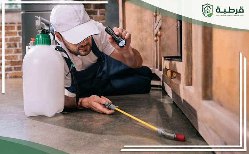 Pest Control Taybah Riyadh