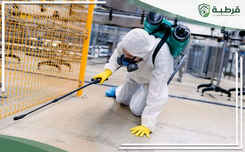 Pest Control Umm Al-Hamam Riyadh